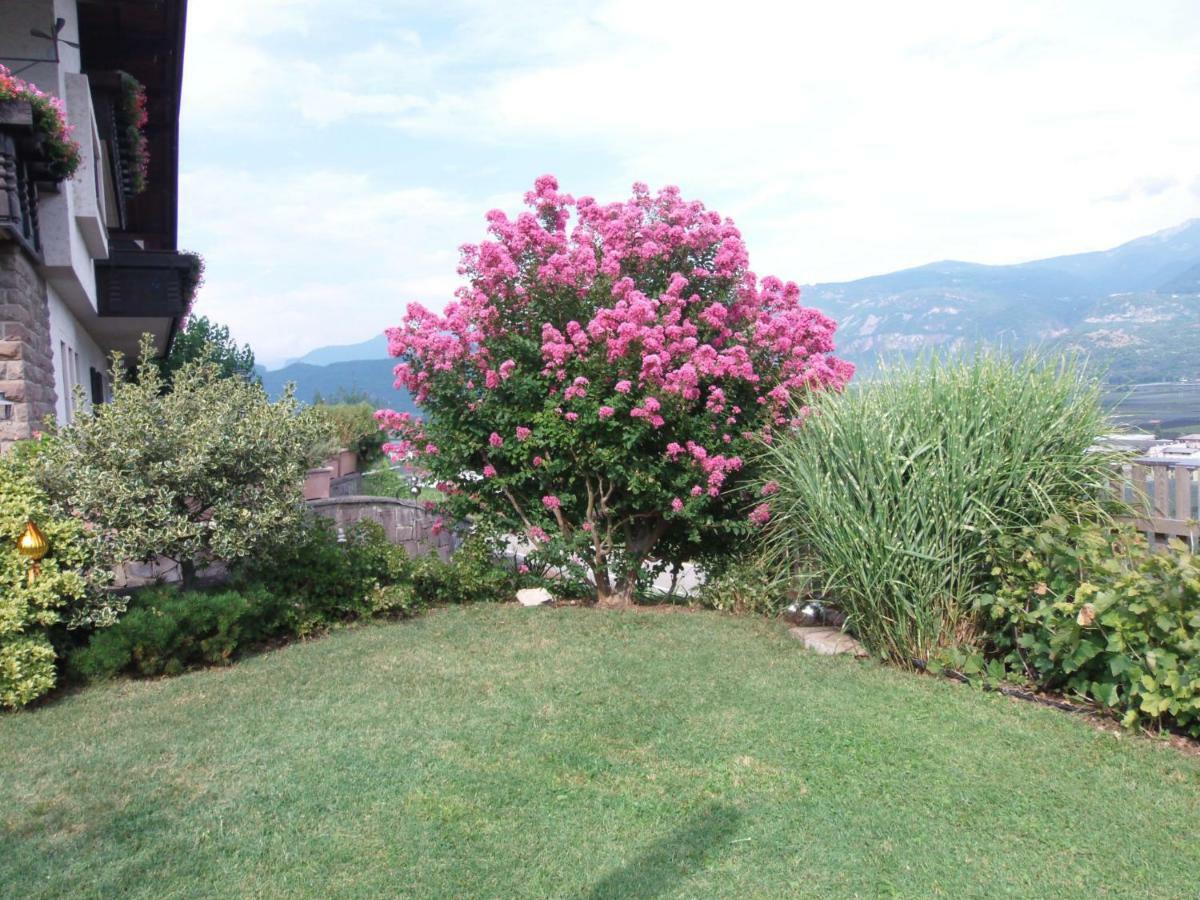 Garni Runggner Traubenhof Hotel Termeno Exterior foto